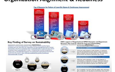 Choosing a lean champion is not as easy as it looks.